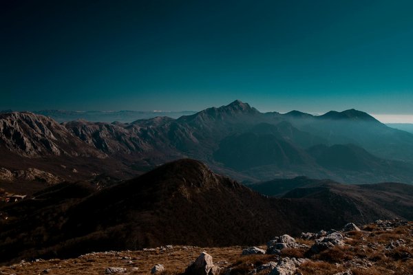 Les meilleures périodes pour un safari en Afrique