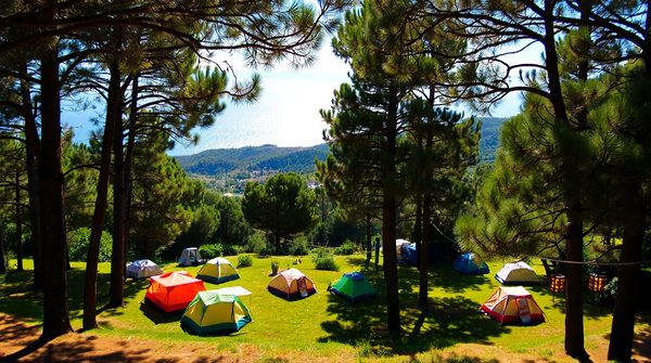 Séjour inoubliable au camping l'argentière près de saint-tropez